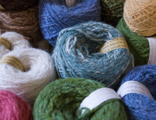 Più lana che tempo: storia di un gomitolo di fibra di alpaca